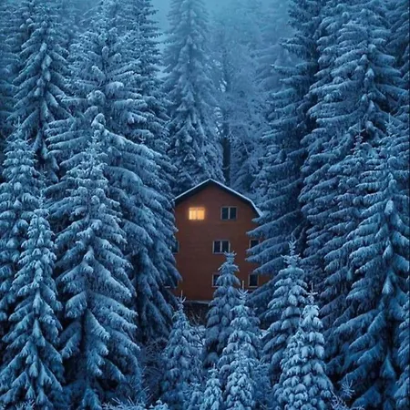 Mim Pansion Apartahotel *